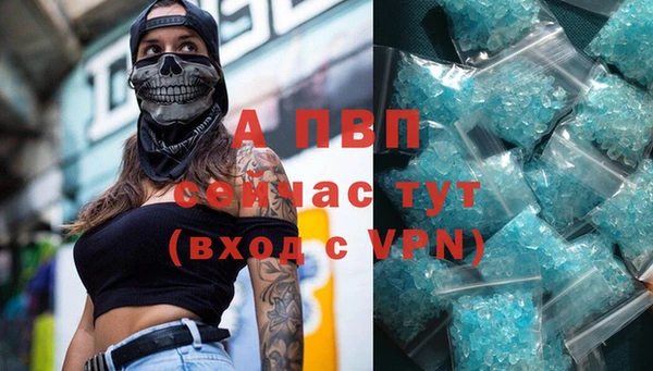 твердый Аркадак