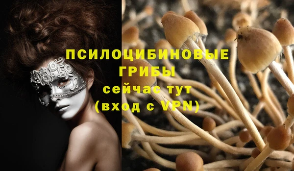 хмурый Богородицк