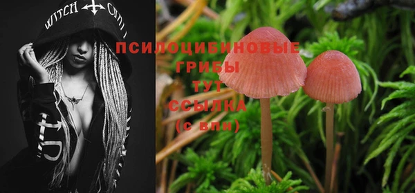 хмурый Богородицк